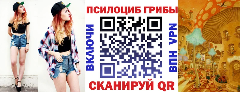 shop Telegram  Усть-Илимск  Галлюциногенные грибы MAGIC MUSHROOMS 